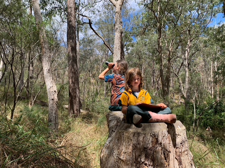 students birdwatching on a tree stump