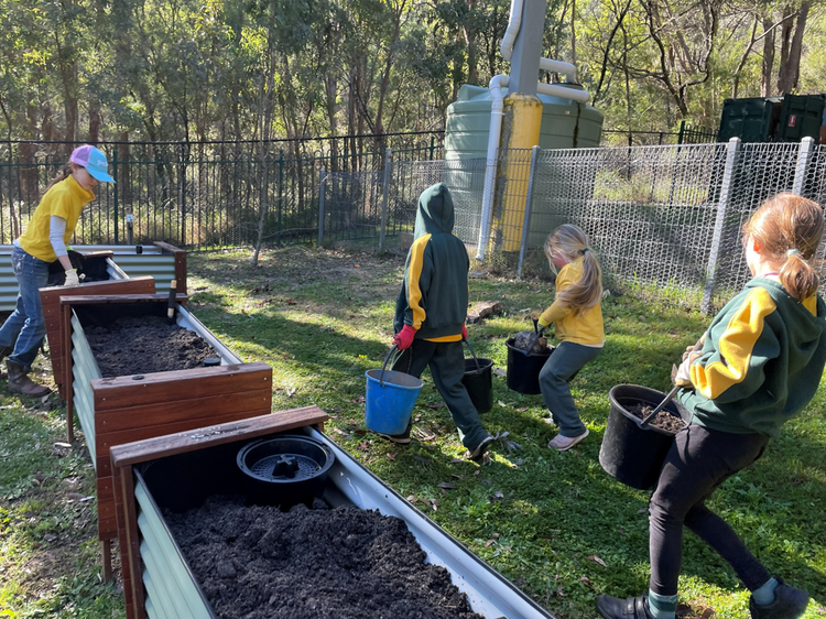 students working in vegetable garden