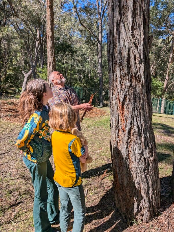 students and a man looking at a tree
