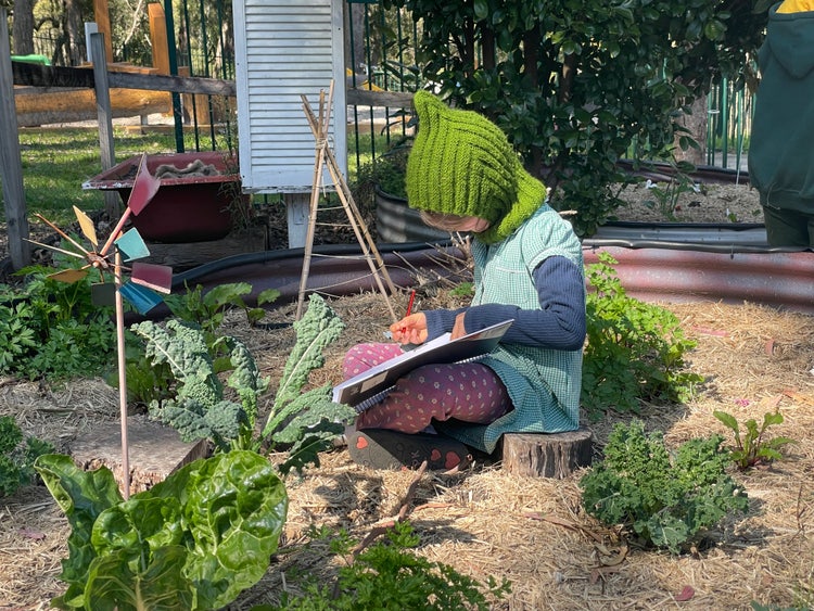 student sketching in garden