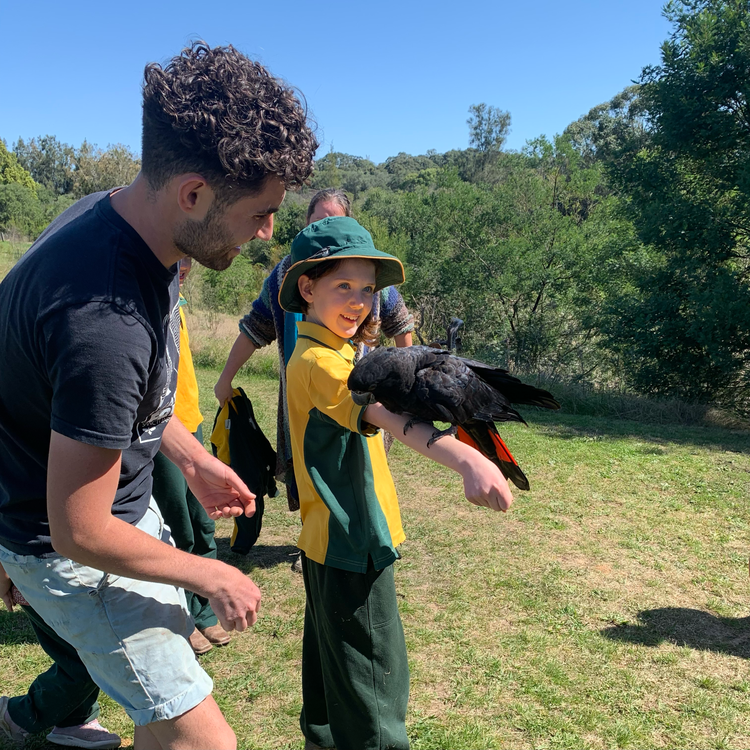 student with a real black cockatoo on arm at wildlife park