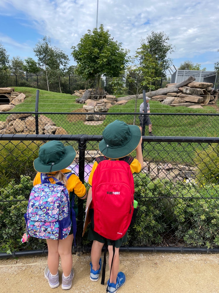2 students at a zoo looking at animals in an enclosure