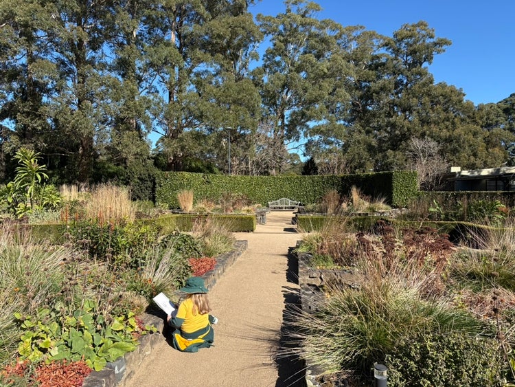 student sketching in the botanic gardens