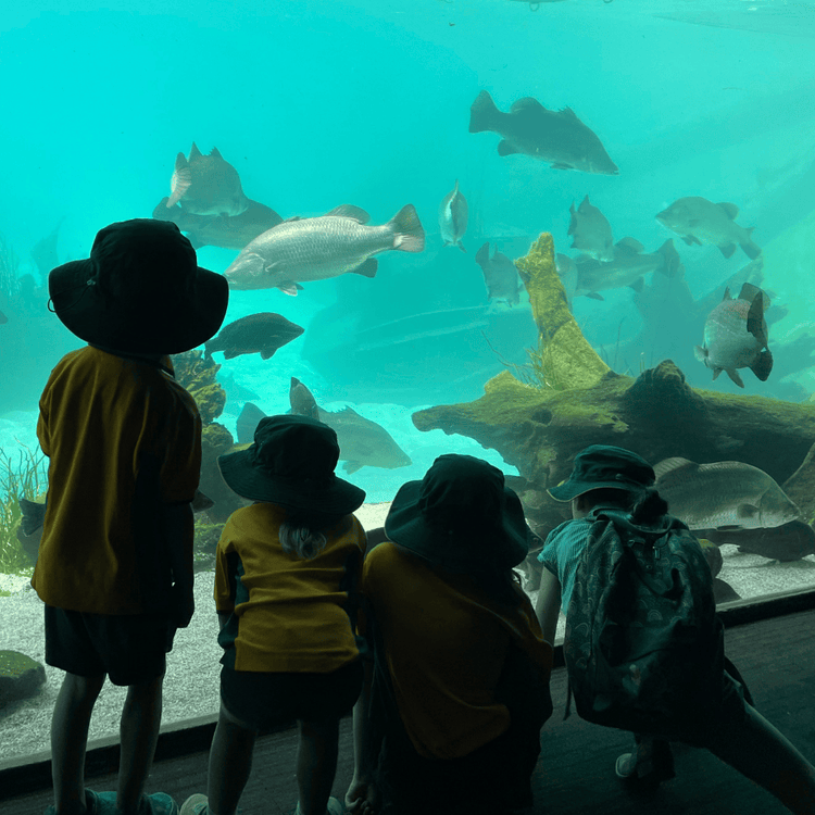 students looking at fish in aquarium